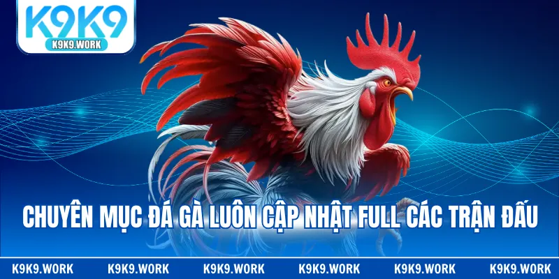 Chuyên mục đá gà luôn cập nhật full các trận đấu
