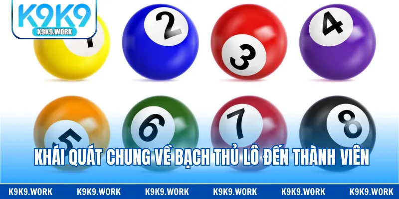 Khái quát chung về bạch thủ lô đến thành viên